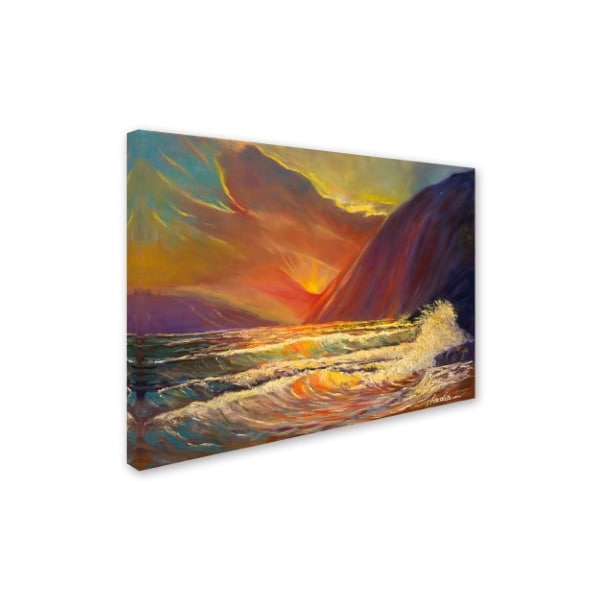 Manor Shadian 'Hawaiian Coastal Sunset' Canvas Art,14x19